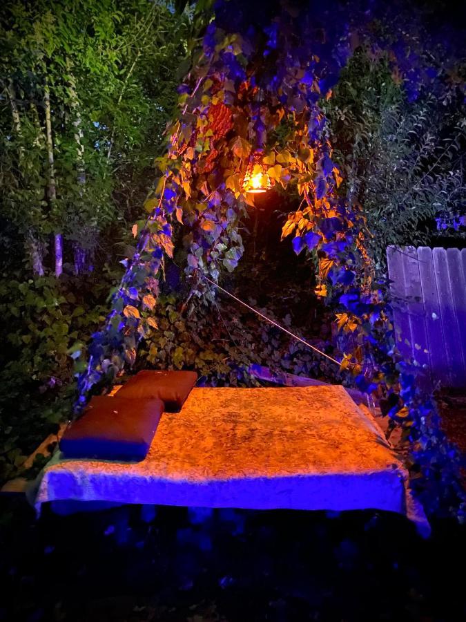 Bed and Breakfast My Big Art Project Санта-Роза Экстерьер фото